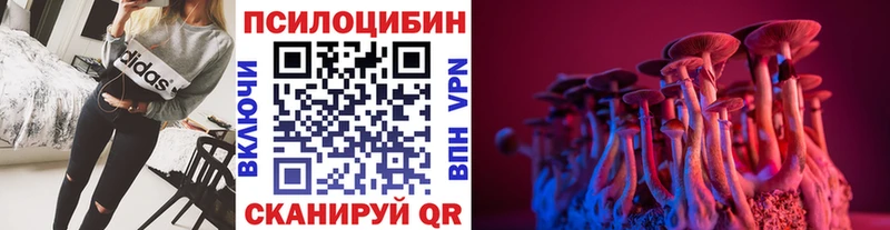кракен ССЫЛКА Северо-Курильск Псилоцибиновые грибы Cubensis где можно купить